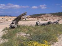 Impression an der Cala Bassa